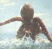 大ダコ怪獣 タガール : レッドキング愛護協会（紅月せな）