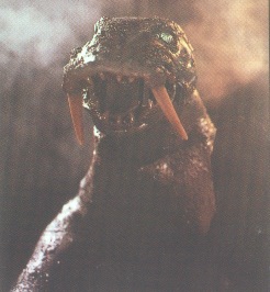 南極怪獣 マグマ : レッドキング愛護協会（紅月せな）