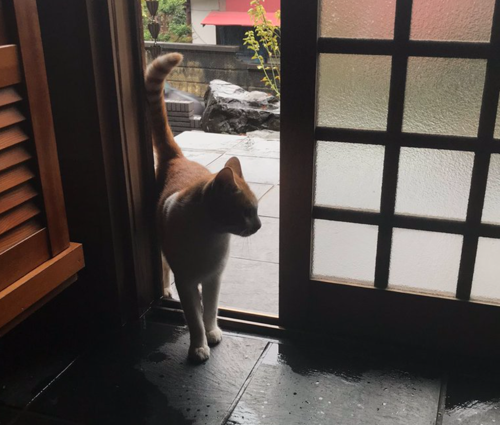 台風一過被災状況 ほっこり画像など Ryama リャマ Blog 台風一過被災状況 ほっこり画像など Ryama リャマ Blog