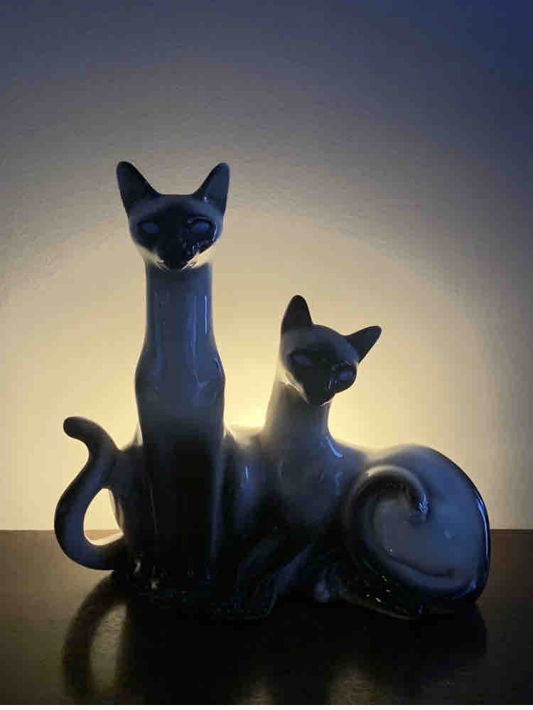 FullSizeRender