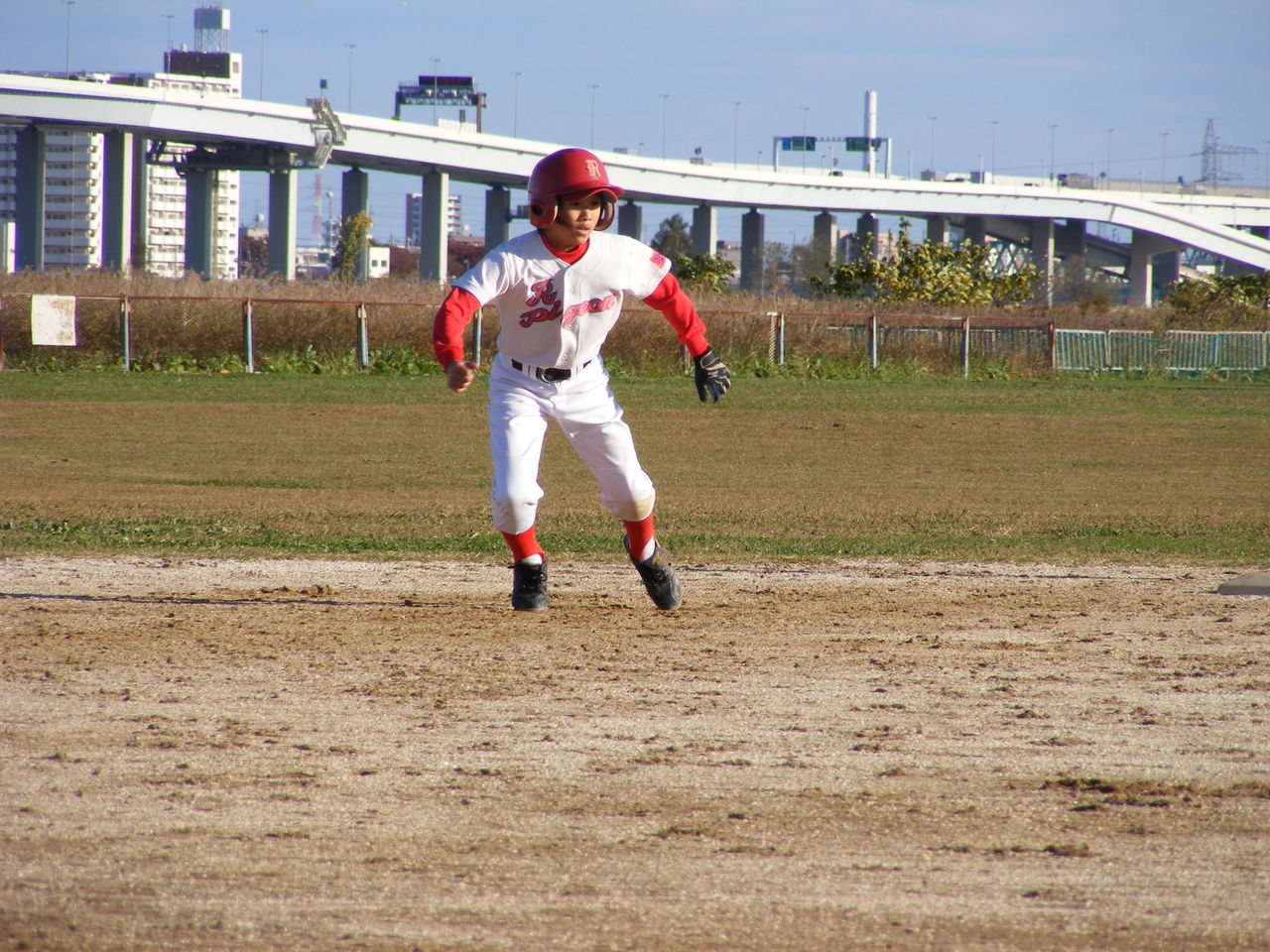 Red Pigeon ﾚｯﾄﾞﾋﾟｼﾞｮﾝ ブログ開設 墨田区少年野球チーム Red Pigeon ﾚｯﾄﾞﾋﾟｼﾞｮﾝ