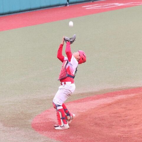 LINE_ALBUM_20251018市学童大会vs南町ブルーシャークス_251022_211