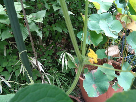 DSC00084