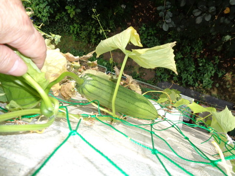 DSC00063