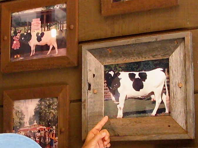 ディズニーワールド 14 Redwoodのブログ 旧yahoo ブログ