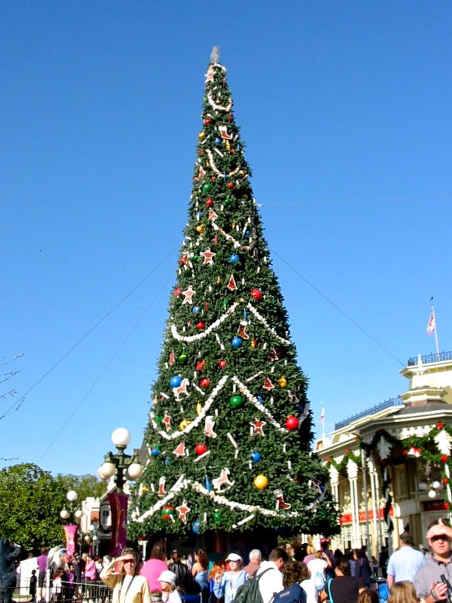 ディズニーワールドのクリスマス 2 クリスマスツリーいろいろ Redwoodのブログ ディズニーワールドのクリスマス 2 クリスマスツリーいろいろ Redwoodのブログ