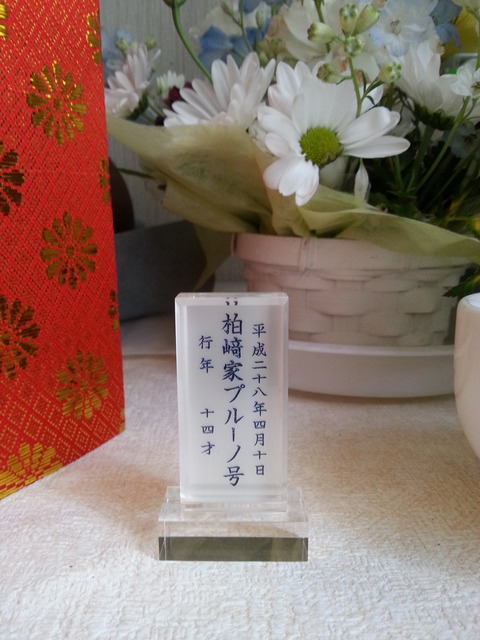20160424_161735