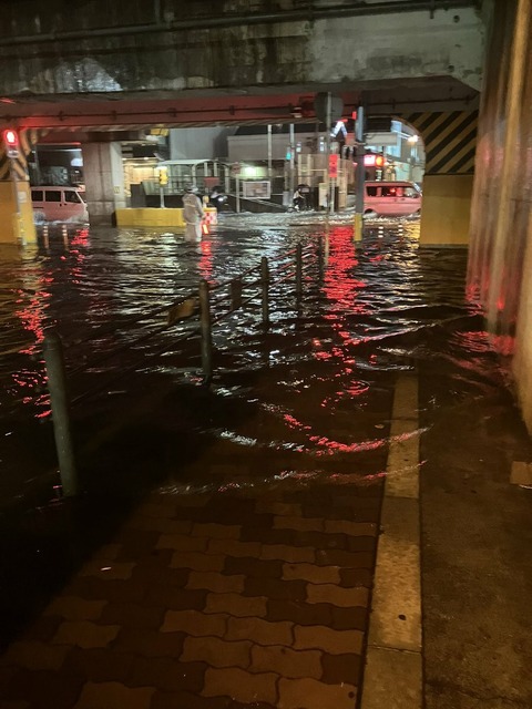 _56otw7f931vkkIBLq8D