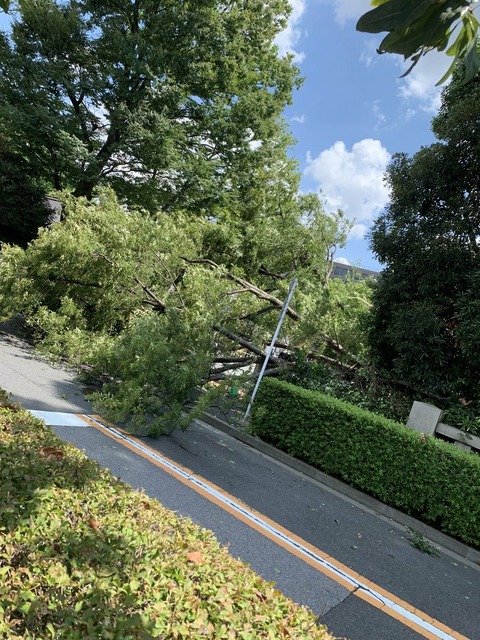 5RZxqJYcp1gkcwkx7_1UJ-YF