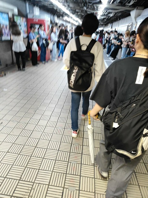 ca5sVnRFe6xbtqDdaeg1