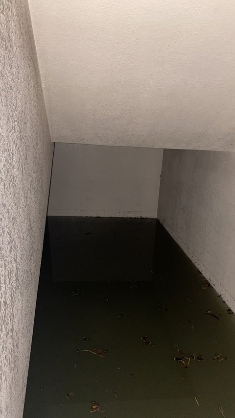 6QZAQykrkyv05Rrq8A==