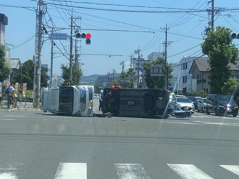 yjtuXZZY6xsuqrsQuTVt