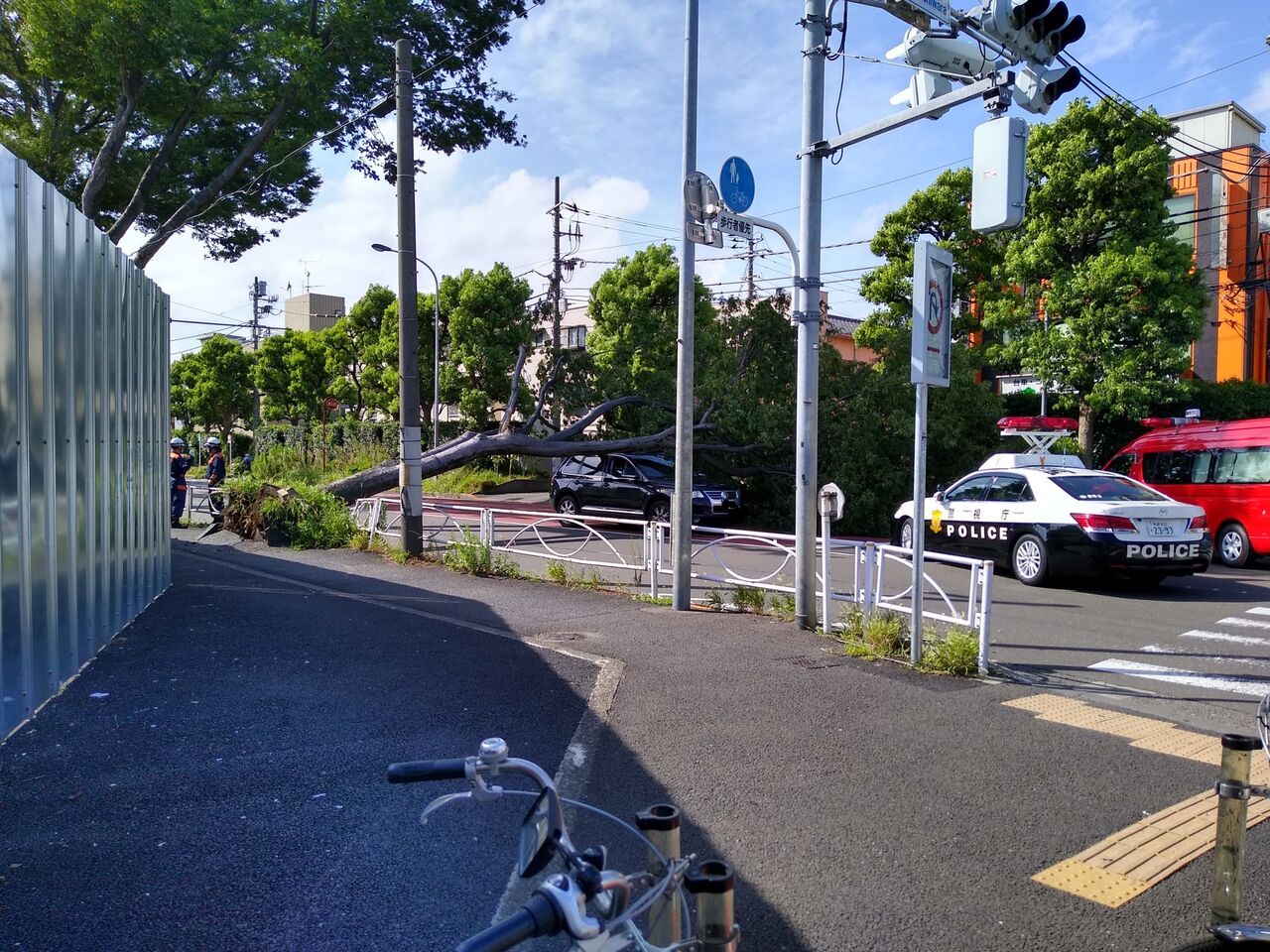 現場の様子 交通情報 甲州街道 東京都調布市富士見町 京王線 調布駅付近 電通大近く交差点倒木事故で通行止め渋滞 車2台下敷き2人怪我8 8 調布 事件事故 災害速報ニュース