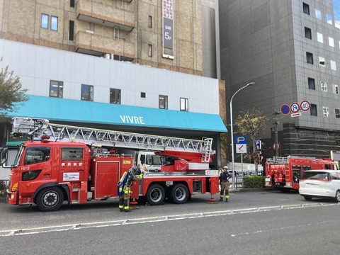 BgIFgYJGVIVv8u0nVbcS0EJQ==