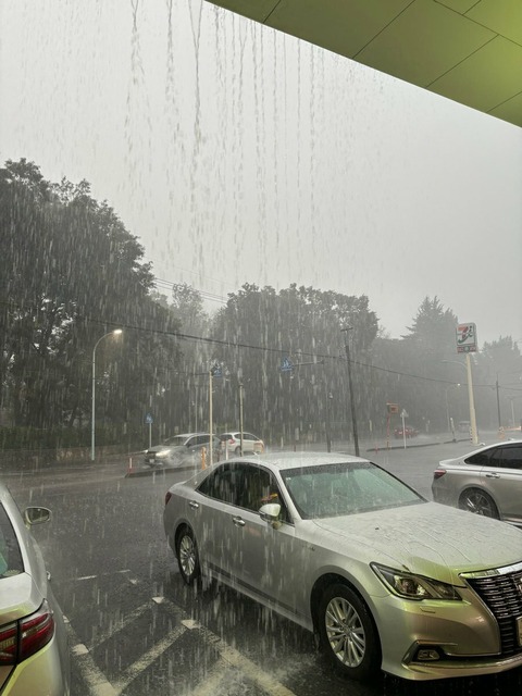 DWjgHneE6_AvkjfTXh1rTCsIQO