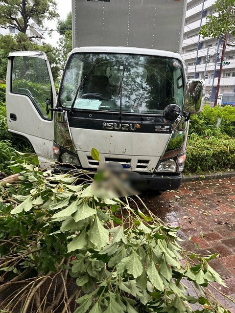 EBPWsGp9m6iLSqJTxrnr