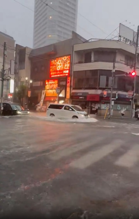 無sdg54題