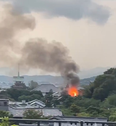 rsdgf題