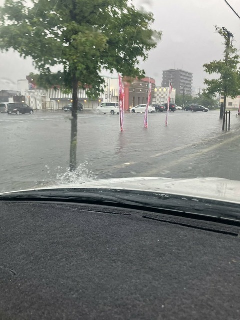 wTCu2nWLlGCs_FceUMK_clTdtv0l