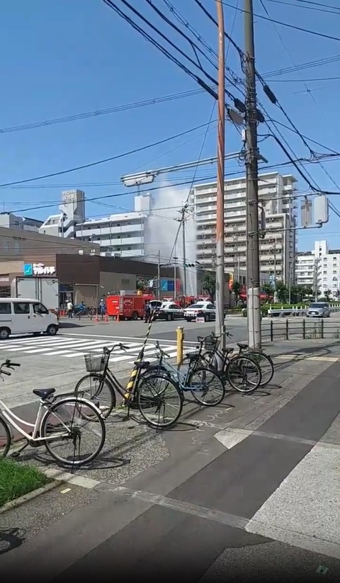 無sadgsa題
