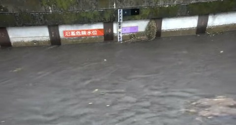 BgIFgYJGVIVvresn-AjnVFxXvgLon