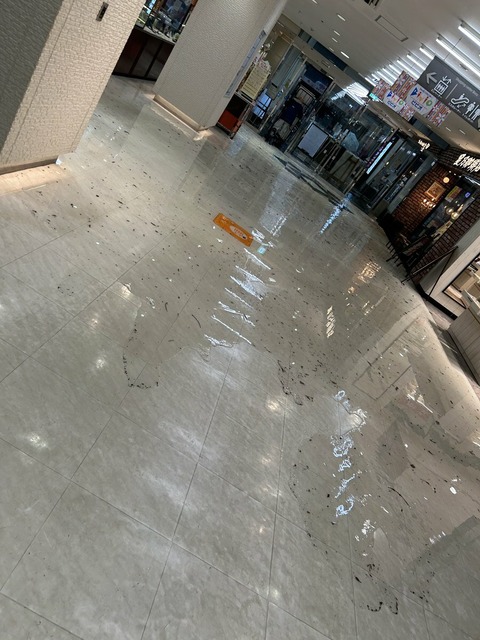 sL9rBE-n6CF5rvM8SaqLQmJe