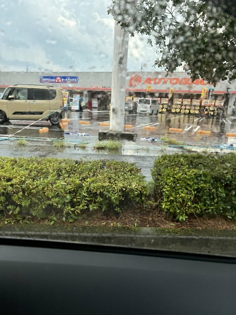 l0MtST_pfgGaEGoNZcKlC