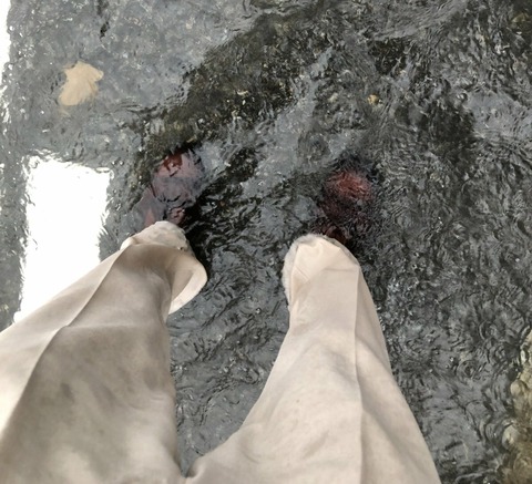 HxY370xjwjh7v3GQJmDc6T0xdrtXYAj-r