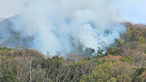 img_80bf291d862cdcbff1b275db2d477e3e196753