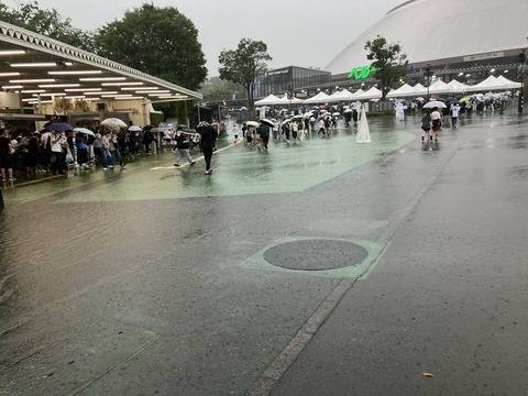 L_WVV8x8lU--jYJZ8q-0zgj