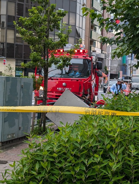 tSvzzj2qKGZgtgV8N2apcIRDr