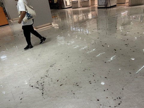 ba6FFwOa7x5UKWQfRT6Z2FgBI-E9KpDKT2xud