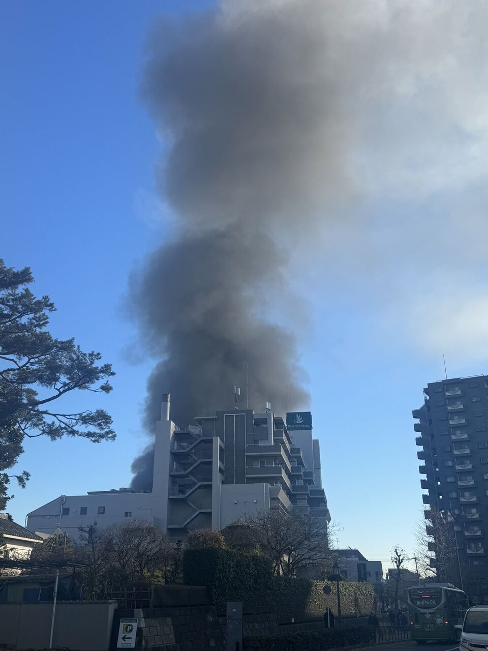 活動歴および当時の関連ビジュアル記録