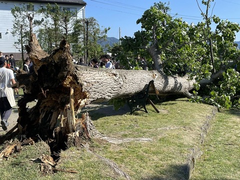 EwQpFAaUfmWHFJgTyvbcvoRloX