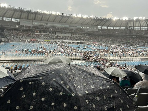 VR1XOJmvy8o5OQlsXvMirL