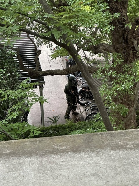 D2YJYCDgmDSVlYjSX6ep95Ur