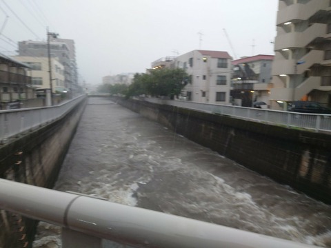 33d9ysstnhta1dLX0eMfpIcT1a