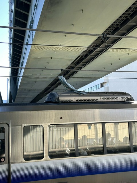 jtTdgj2k50sLsNggZtCR