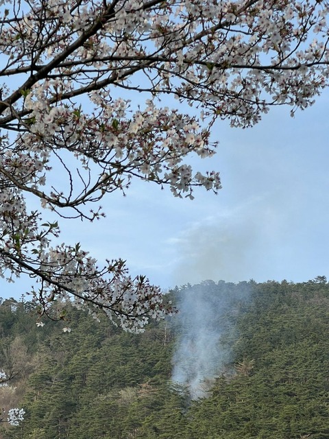 OgR1bZQh_0oJDUKmyf7P1