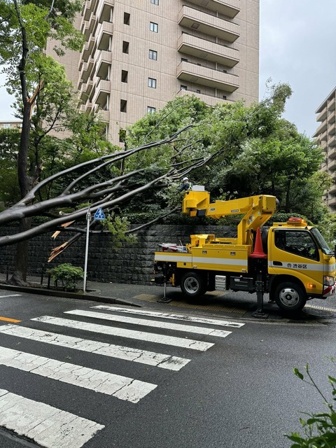 tnTPSJdxwzDsehYt6i7dJ8H