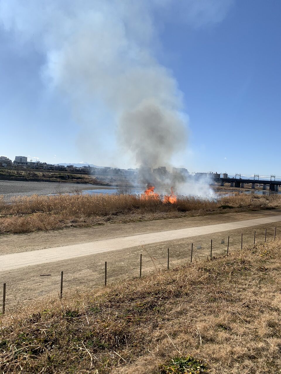 火事 二子 玉川