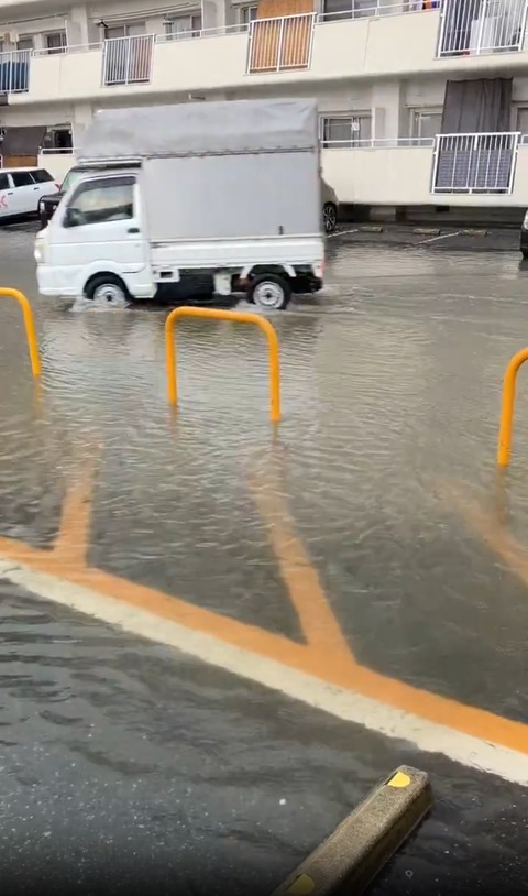 SAf題