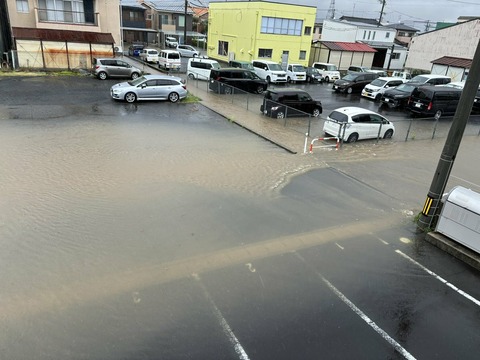 mjp-2xrdCjuHSrkSMnpIB