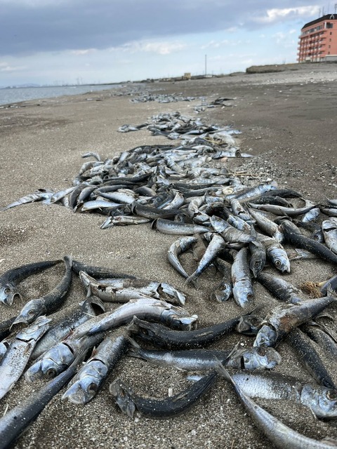 utA9Smi51ghbZMdVeuQP