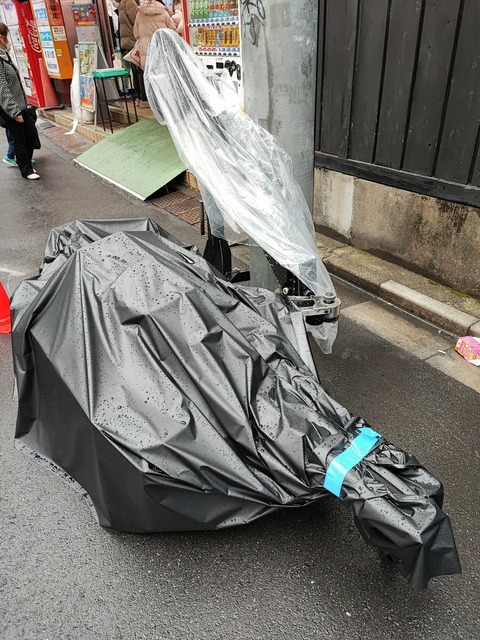 qGXTP2RTpSsiKbi9jlJYFeEIKlZGFyl