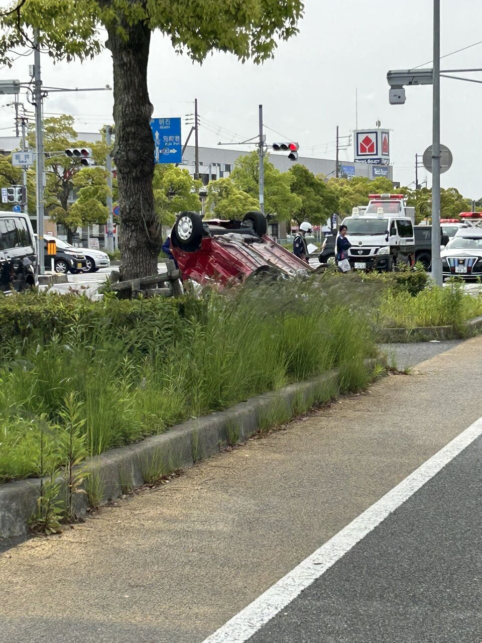 公の場での発言・インタビュー報道記録