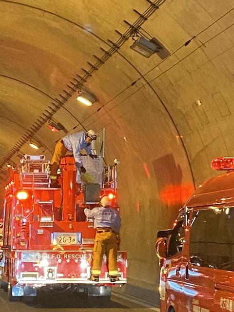 dve5DlZjRDpMgh29P1rtJ-