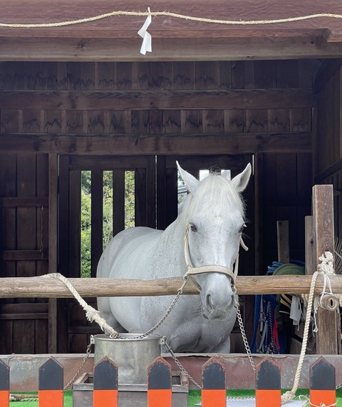 BgIFgYJGVIVv8u0nVJvw8B2FauAYMF4jsQ==