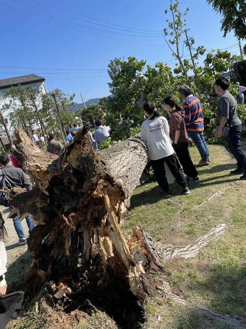 VCyJbv4je_uadun3JEb3i-x9Kd