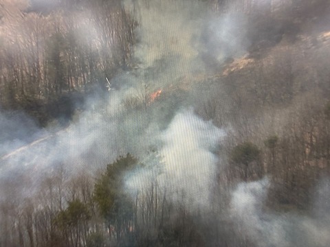 17fb1fd7-9d60-4f4c-bb3f-7361c7fc9e09